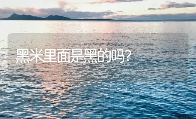 黑米里面是黑的吗？ | 农作物种植