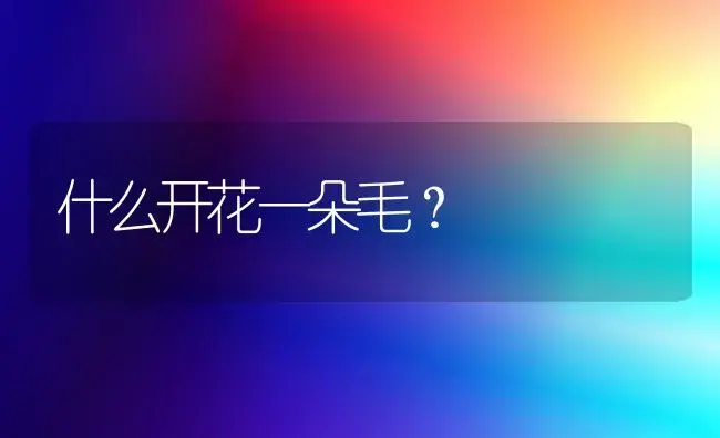 什么开花一朵毛？ | 多肉养殖