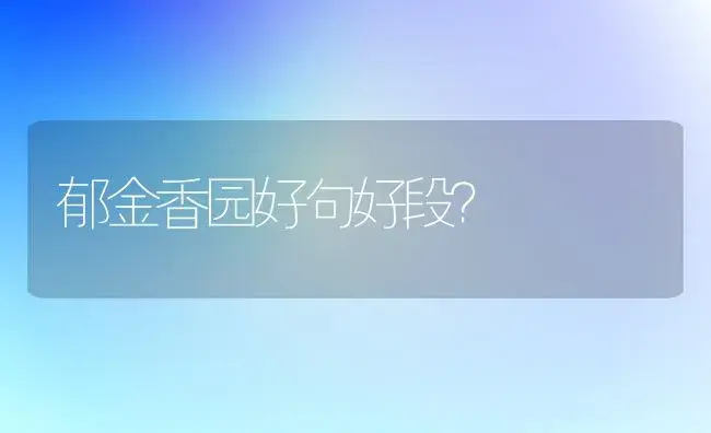 郁金香园好句好段？ | 绿植常识