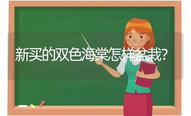 新买的双色海棠怎样盆栽？ | 绿植常识