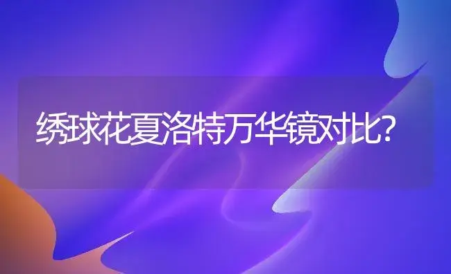 绣球花夏洛特万华镜对比？ | 绿植常识