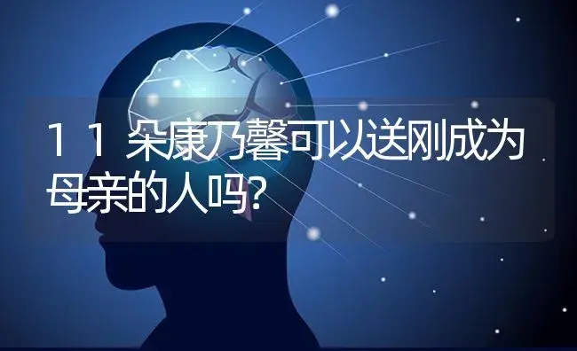 11朵康乃馨可以送刚成为母亲的人吗？ | 绿植常识