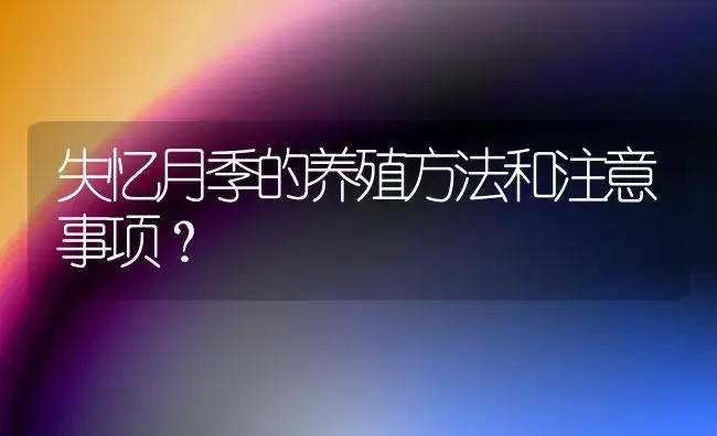 失忆月季的养殖方法和注意事项？ | 绿植常识