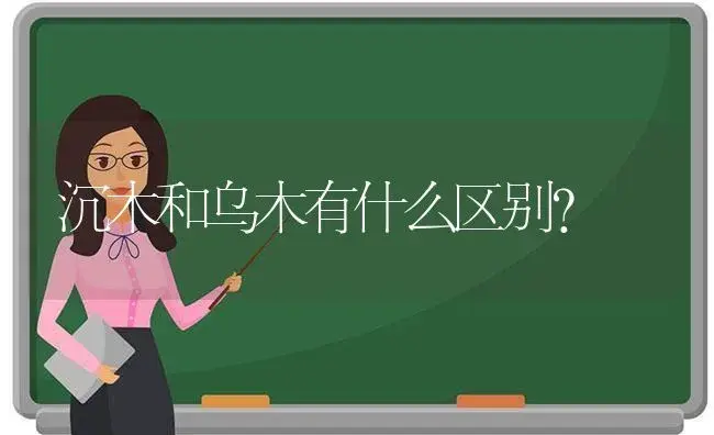 沉木和乌木有什么区别？ | 多肉养殖