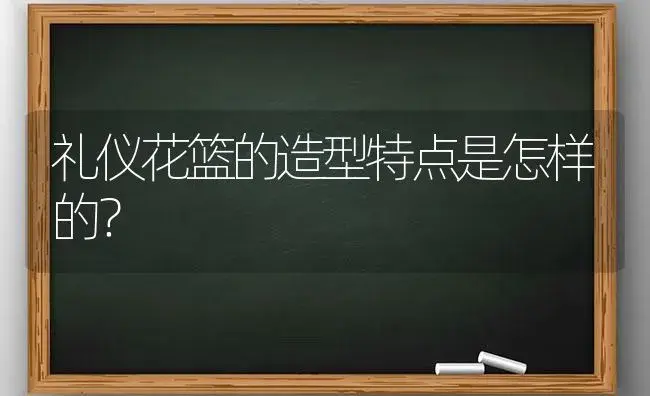 礼仪花篮的造型特点是怎样的？ | 绿植常识