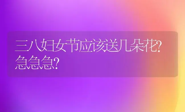 三八妇女节应该送几朵花?急急急？ | 绿植常识