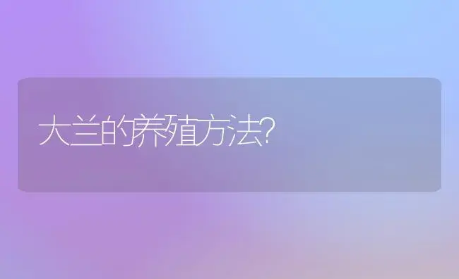 大兰的养殖方法？ | 绿植常识