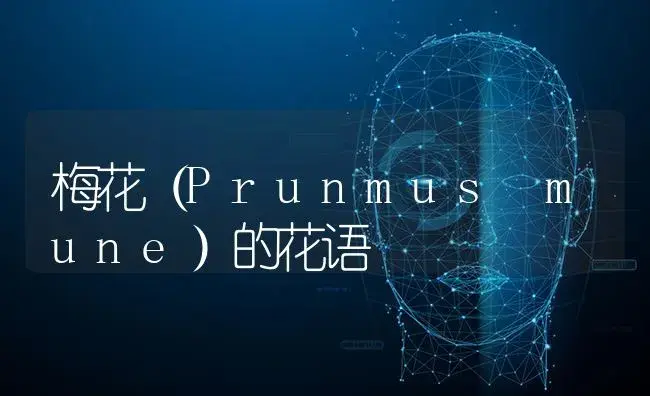 梅花（Prunmus mune）的花语 | 特种种植