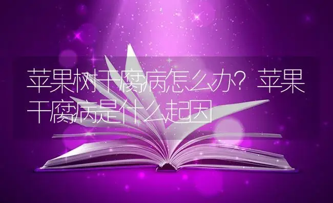 苹果树干腐病怎么办？苹果干腐病是什么起因 | 果木种植