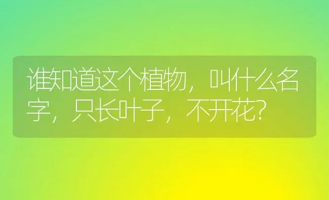 仙人掌嫁接蟹爪兰怎么红颜色？ | 多肉养殖