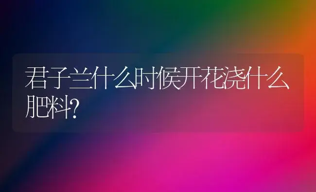 君子兰什么时候开花浇什么肥料？ | 绿植常识