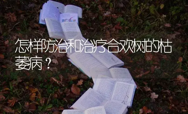 怎样防治和治疗合欢树的枯萎病？ | 特种种植