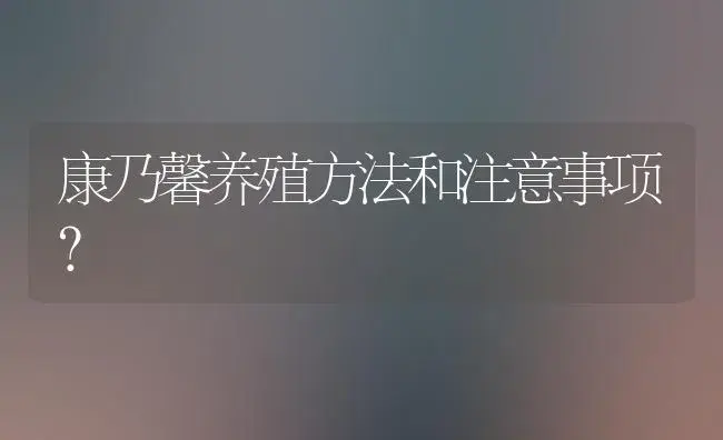 康乃馨养殖方法和注意事项？ | 绿植常识