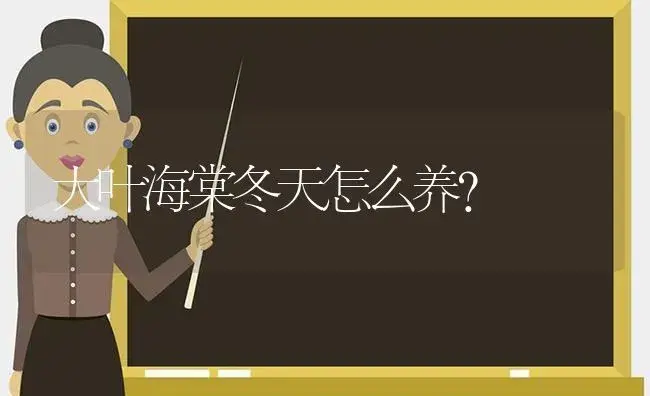 大叶海棠冬天怎么养？ | 绿植常识