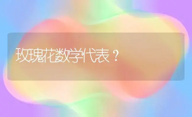 玫瑰花数学代表？ | 绿植常识