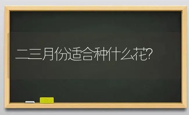 二三月份适合种什么花？ | 绿植常识