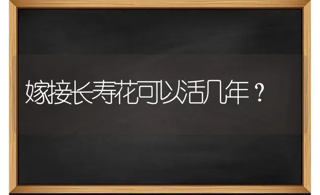 嫁接长寿花可以活几年？ | 多肉养殖