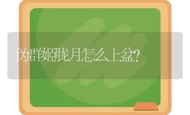 伪群姬胧月怎么上盆？ | 多肉养殖