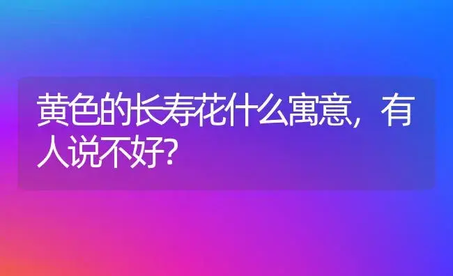 黄色的长寿花什么寓意,有人说不好？ | 多肉养殖