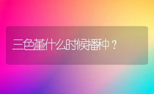 三色堇什么时候播种？ | 绿植常识