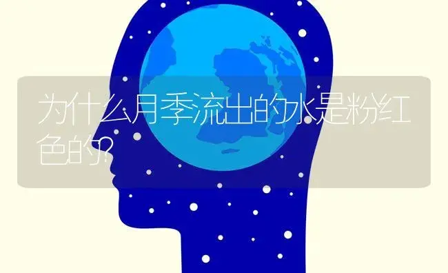 为什么月季流出的水是粉红色的？ | 绿植常识