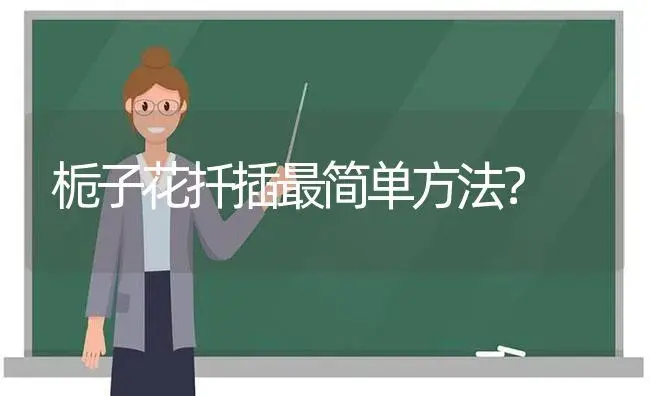 栀子花扦插最简单方法？ | 绿植常识