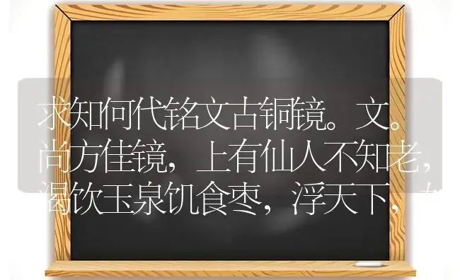 求知何代铭文古铜镜。文。尚方佳镜,上有仙人不知老,渴饮玉泉饥食枣,浮天下,如少保？ | 多肉养殖