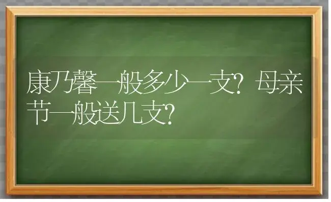 康乃馨一般多少一支？母亲节一般送几支？ | 绿植常识