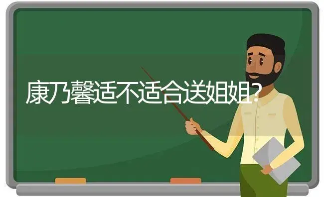 康乃馨适不适合送姐姐？ | 绿植常识