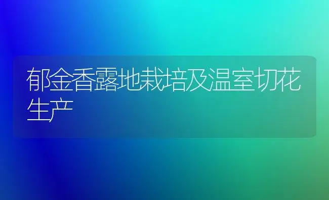 郁金香露地栽培及温室切花生产 | 家庭养花