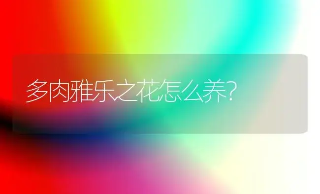 多肉雅乐之花怎么养？ | 多肉养殖