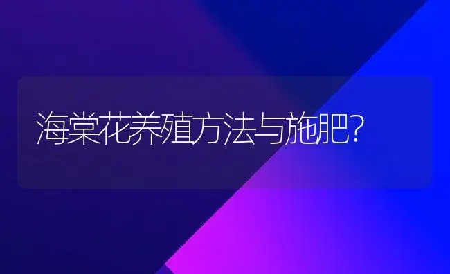 海棠花养殖方法与施肥？ | 绿植常识