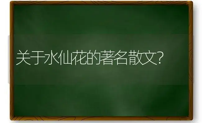 关于水仙花的著名散文？ | 绿植常识