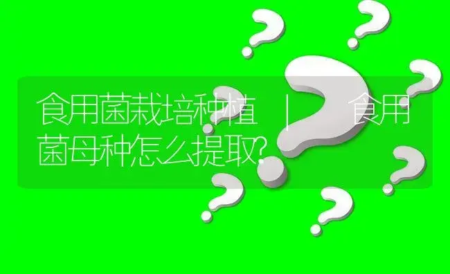 食用菌母种怎么提取? | 菌菇种植