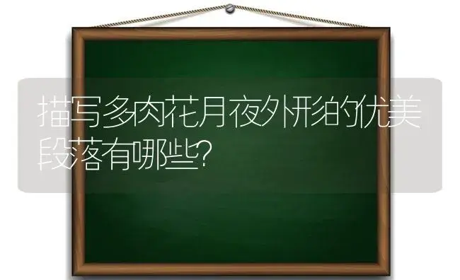 描写多肉花月夜外形的优美段落有哪些？ | 多肉养殖