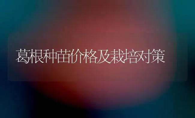 葛根种苗价格及栽培对策 | 药材种植