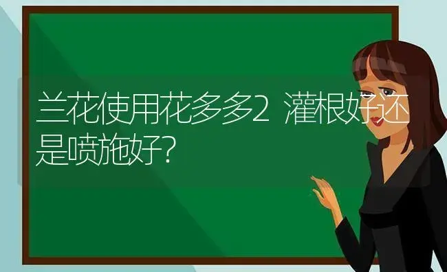 兰花使用花多多2灌根好还是喷施好？ | 绿植常识