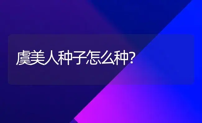 虞美人种子怎么种？ | 家庭养花