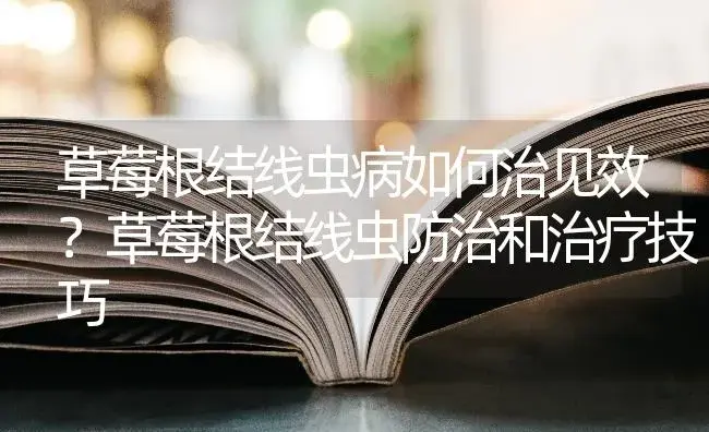 草莓根结线虫病如何治见效？草莓根结线虫防治和治疗技巧 | 果木种植