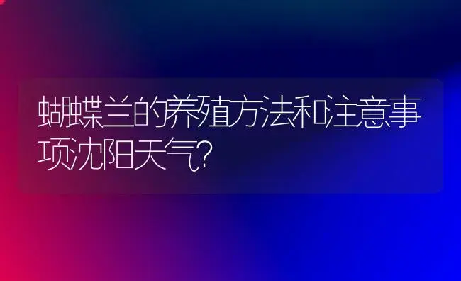 蝴蝶兰的养殖方法和注意事项沈阳天气？ | 绿植常识