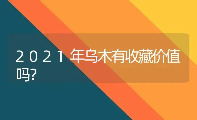 2021年乌木有收藏价值吗？ | 多肉养殖