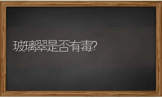 玻璃翠是否有毒？ | 绿植常识