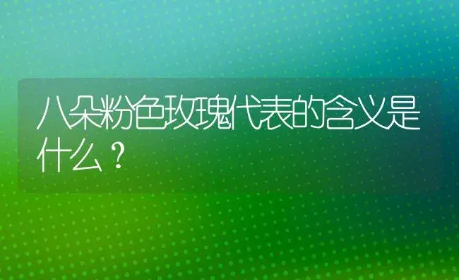 八朵粉色玫瑰代表的含义是什么？ | 绿植常识