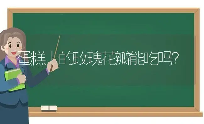 蛋糕上的玫瑰花瓣能吃吗？ | 绿植常识