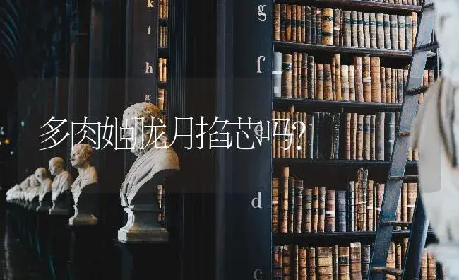 多肉姬胧月掐芯吗？ | 多肉养殖