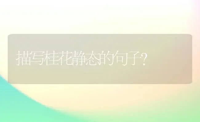 描写桂花静态的句子？ | 绿植常识