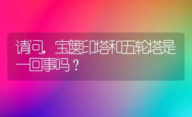 请问,宝箧印塔和五轮塔是一回事吗？ | 多肉养殖