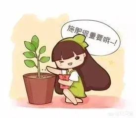 茉莉花晚上放在卧室,散发的香味,对人体有害吗？