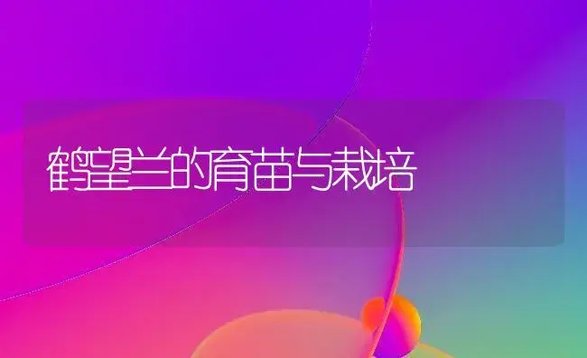 鹤望兰的育苗与栽培 | 家庭养花