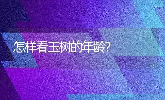 怎样看玉树的年龄？ | 多肉养殖